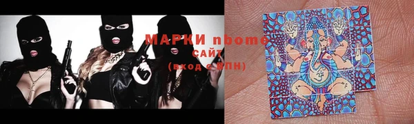 мдпв Ленинск