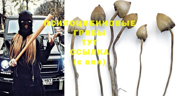 индика Хадыженск