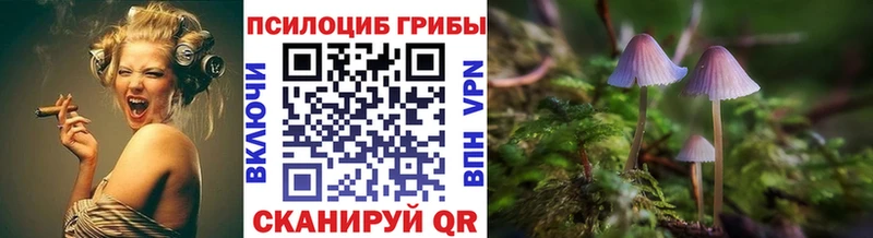Псилоцибиновые грибы Psilocybe  OMG как войти  Олёкминск 
